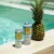 High Noon Pineapple Vodka Hard Seltzer Perspective: left
