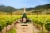 Chandon California Blanc de Noirs Sparkling Wine Perspective: left