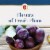 Sutter Home® Merlot California Red Wine Perspective: left