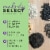 Morning Song® Melody Select™ Ultimate Finch Bird Food Perspective: left