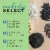 Morning Song® Melody Select™ Songbird Supreme Bird Food Perspective: left