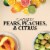 Terlato Pinot Grigio Italy White Wine Perspective: left