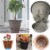 Bloem LP08908 8 in. Lucca Self Watering Planter with Saucer, Charcoal Perspective: left