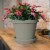 Bloem 8 In. Dia. Pebble Stone Poly Classic Flower Pot TR0883 Perspective: left