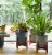 Bloem 7008945 10 in. Planter Hopson, Green Perspective: left