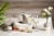 Rodney Strong Charlotte's Home Sauvignon Blanc White Wine Perspective: left