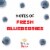 Stella Rosa Blueberry Semi Sweet Italian Red Wine Perspective: left