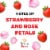 Stella Rosa Pink Italian Semi-Sweet Rose Wine Perspective: left