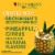 Buchanan's Spirit Drink Pineapple Perspective: left