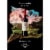 Santa Cristina Cabernet Sauvignon IGT Italian Red Wine Perspective: left