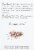 Bonne Maman® Dream Herbal Tea Perspective: left