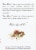 Bonne Maman® Contentment Herbal Tea Perspective: left