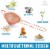 Zulay Kitchen Cone Shaped Cocktail Strainer - Rose Gold Perspective: left