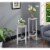 Convenience Concepts 111253C1WF Graystone 31 in. Plant Stand, Faux Birch & White - 31.5 x 15 Perspective: left