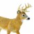 Whitetail Buck Toy Perspective: left