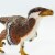 Deinonychus Toy Perspective: left
