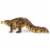 Sarcosuchus Toy Perspective: left