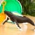 Humpback Whale Toy Perspective: left