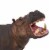 Hippopotamus Toy Perspective: left