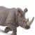 White Rhino Toy Perspective: left