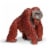 Bornean Orangutan Toy Perspective: left