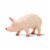 Boar Perspective: left