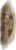 Treasured Harvest Walnuts Perspective: left
