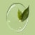 Herbal Essences Classics Clarifying Tea Tree Shampoo Perspective: left