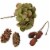 Northlight Set of 10 Pumpkin, Pine Cone, Berry and Leaves Fall Harvest Decor Set Perspective: left