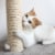 Cat Scratching Post with Perch Sisal Rope and Toys for Cats and Kittens Play Perspective: left
