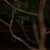 Outdoor Mini Solar String Lights- 200 LED Solar Powered Hanging Lighting with 8 Light Modes Perspective: left