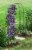 Garden's Alive! Monet Outdoor Garden Arch Perspective: left