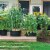 Gardens Alive! Grow Tub Growing Planter Perspective: left