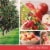 Yankee Candle® Macintosh Signature Large Jar Candle Perspective: left