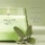 Yankee Candle Studio Scented Candle with up to 50 Hour Burn Time, Sage & Citrus Perspective: left