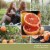Yankee Candle® Energizing Grapefruit & Rosemary Well Living Medium Square Candle Perspective: left