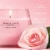 Yankee Candle Studio Scented Candle with up to 50 Hour Burn Time, Fresh Cut Roses Perspective: left
