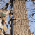 Muddy Outdoors Peg-Pack Series Pro Climbing Stick w/Rope Cam Attachment (8 Pack) Perspective: left