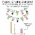 Big Dot of Happiness Happy 100th Day of School Decor - Party Supplies Kit - Doterrific Bundle Perspective: left