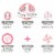 Big Dot of Happiness She's a Wild One - 1st Birthday Cake Decor Kit - Cake Topper Set 11 Pc Perspective: left