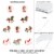 Big Dot of Happiness Run Wild Horses Lawn Decorations Pony Birthday Party Yard Decor 10 Pc Perspective: left