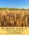 Palouse Brand Hard Red Winter Wheat Berries Bundle, 100 LBS (4 - 25 LB Bags) Perspective: left