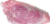 Pork Shoulder Bone-In Perspective: left