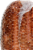 Private Selection™ Honey Cured Ham Quarter Limit 1 per Order Perspective: left