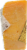 Maple Leaf Aged Cheddar Perspective: left