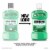 Listerine Freshburst Antiseptic Mouthwash Perspective: left