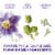 ZzzQuil PURE Zzzs Restorative Herbal Sleep Aid Tablets Perspective: left