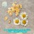 Aveeno Calm + Restore Oat Gel Face Moisturizer for Sensitive Skin Fragrance Free Travel Size 0.5 Oz Perspective: left