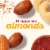 KIND Paprika Nuts & Mesquite Smoked Sea Salt Nut Bars Perspective: left