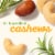 KIND Savory Rosemary Nuts & Sea Salt Nut Bars Perspective: left